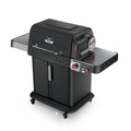 Electric Grill and Smoker with Multi-Fuel Cooking System