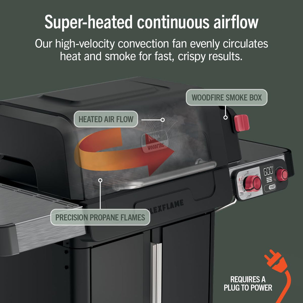 Electric Grill and Smoker with Multi-Fuel Cooking System