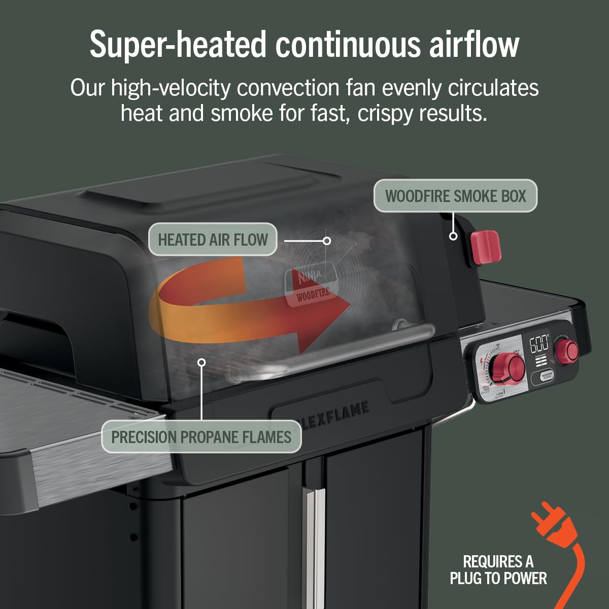 Electric Grill and Smoker with Multi-Fuel Cooking System
