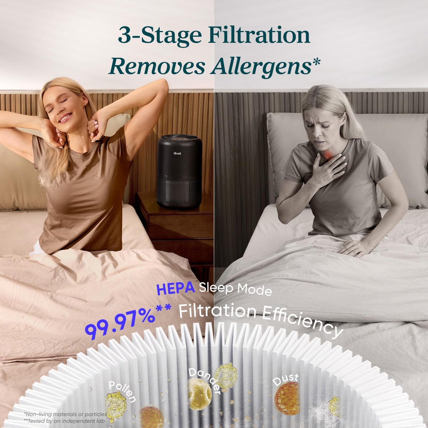 True HEPA Air Purifier for Fresh Indoor Spaces