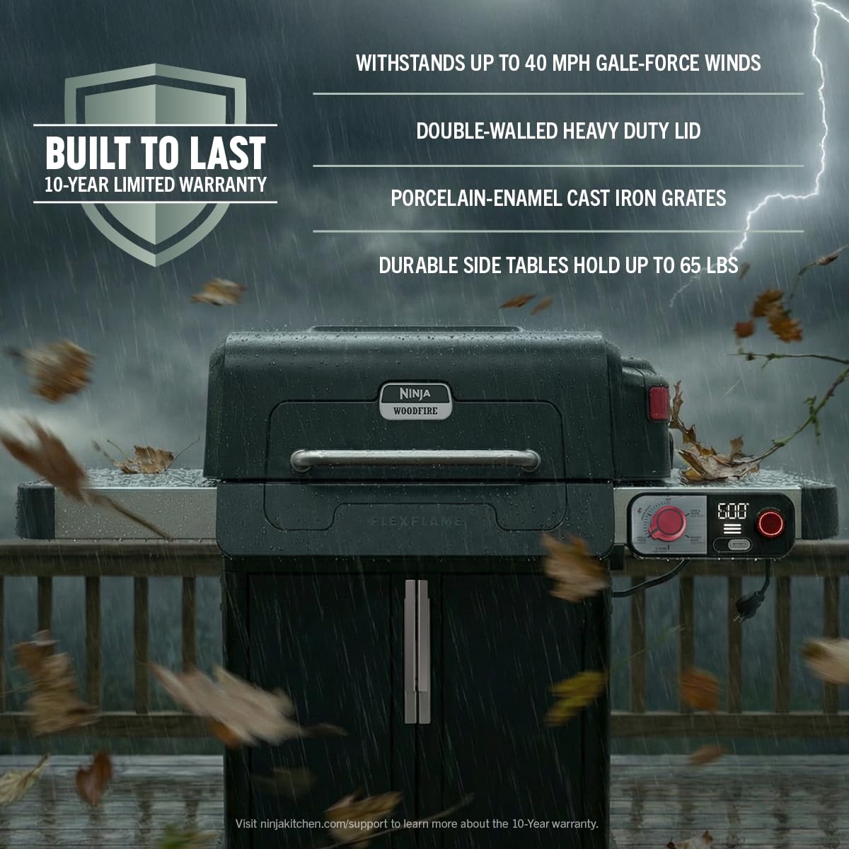 Electric Grill and Smoker with Multi-Fuel Cooking System