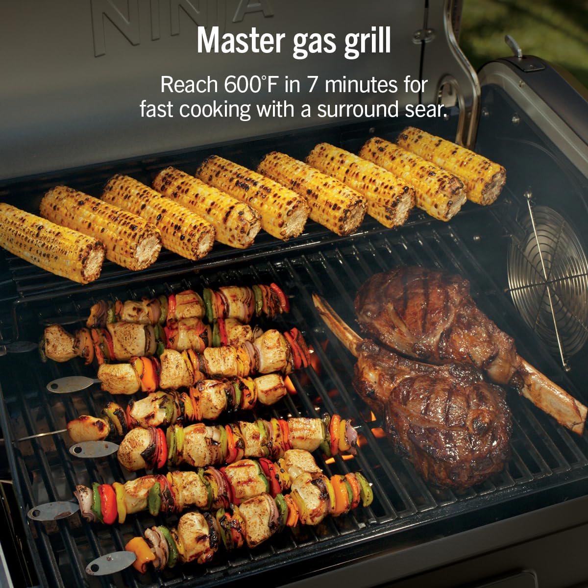 Electric Grill and Smoker with Multi-Fuel Cooking System