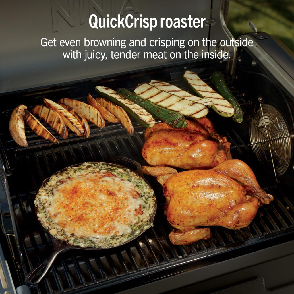 Electric Grill and Smoker with Multi-Fuel Cooking System